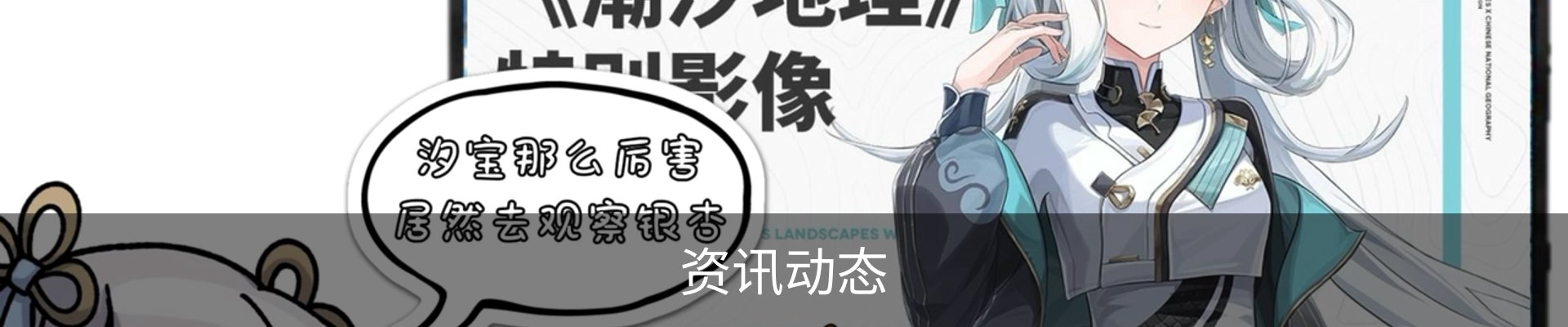 资讯动态