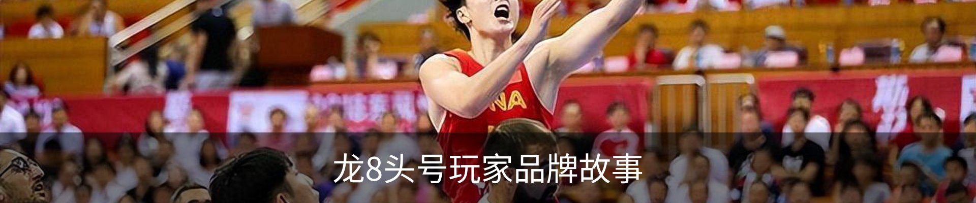 龙8头号玩家品牌故事