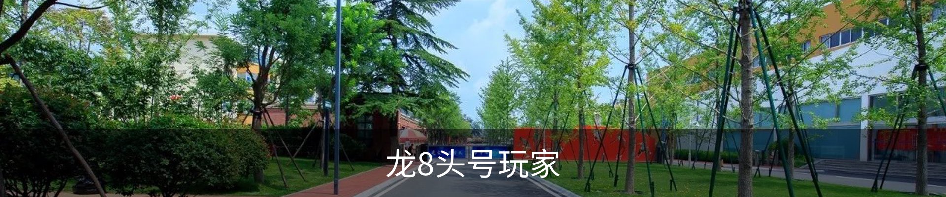 头号玩家-(龙8)唯一官方网站